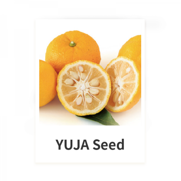 YUJA Seed Oil (100/1000 ml)
